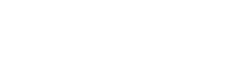 Holchem Logo